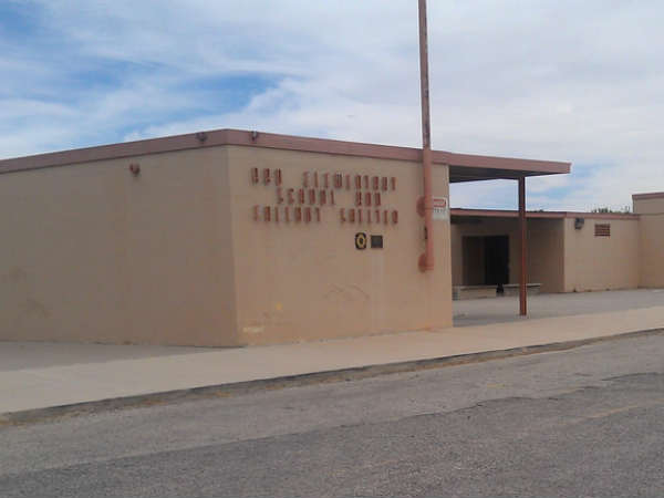 பாம் ஷெல்டர் : 