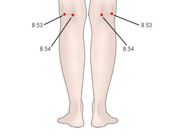 முழங்கால் பகுதி