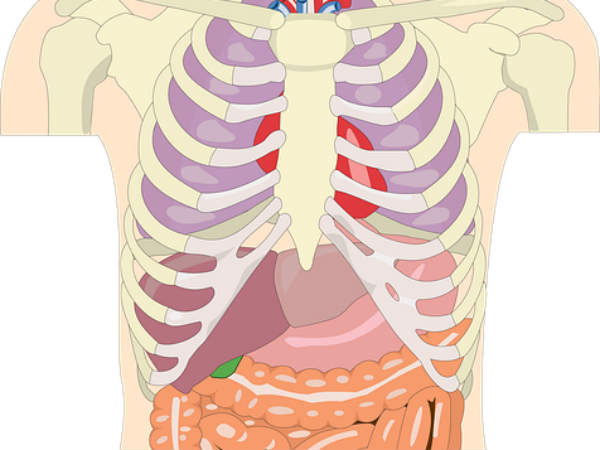 விட்டமின் பி5 : 