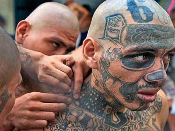 குடை டெஸ்ட்!