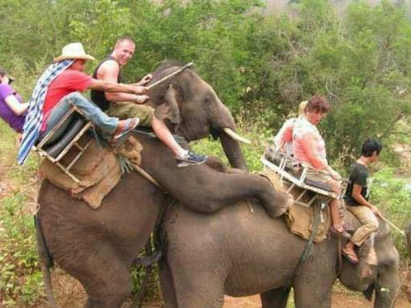 தப்பு மை சன்! தப்பு மை சன்!