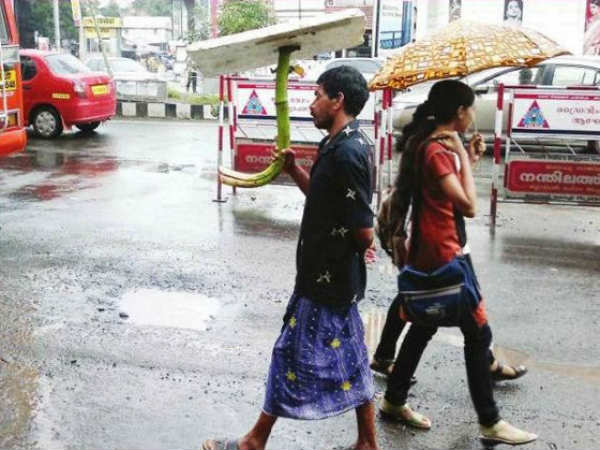 கேரளம், கேரளம்தான்! கேரளம், கேரளம்தான்!