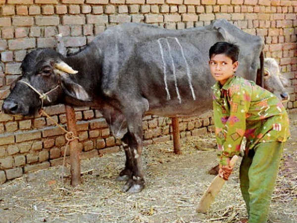 பீட்டா கண்ணுல பட்டுடாத கண்ணா... பீட்டா கண்ணுல பட்டுடாத கண்ணா...