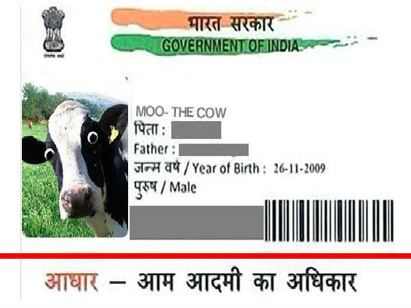 பசுவுக்கு ஆதார் அட்டை