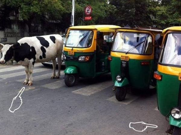 ஆறு அறிவு? ஆறு அறிவு?