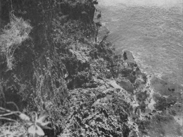  கொடுமைகள் : 