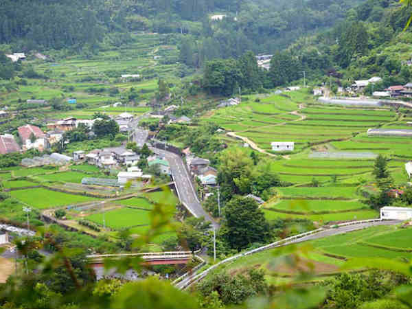 பிரிவுகள் : 