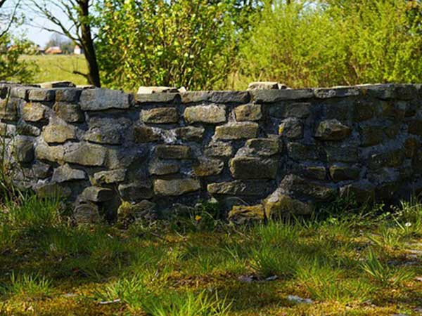 கிணற்று நீரைத் தெளிய வைக்கும், தேற்றான்கொட்டை