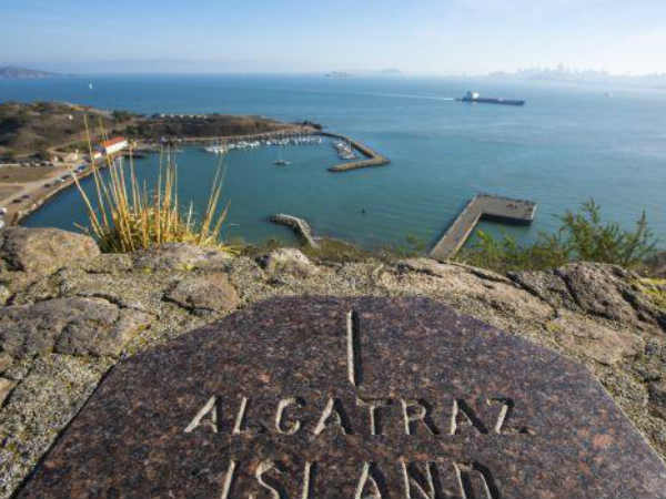 அல்காட்ரஸ் : 