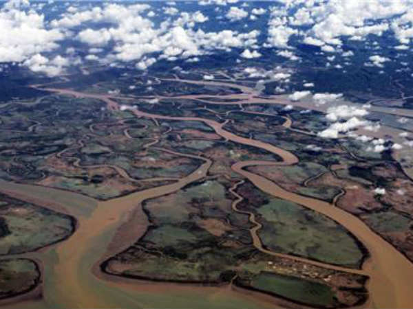 பெங்கால் டெல்டா 