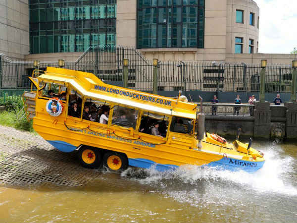 டியூக் : 