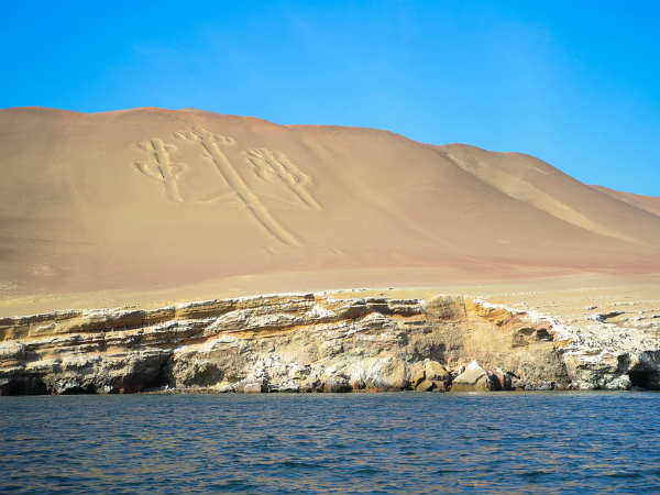 பாராசஸ் கேண்டலப்ரா!