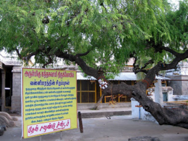 கும்பம் கும்பம்