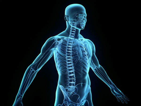 மனிதனின் உடலில் : 