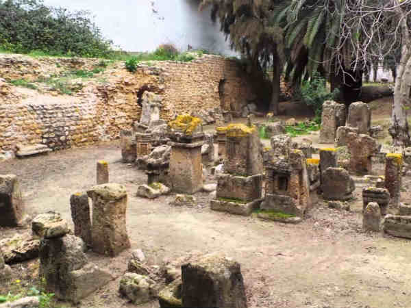 நெருப்பு : 