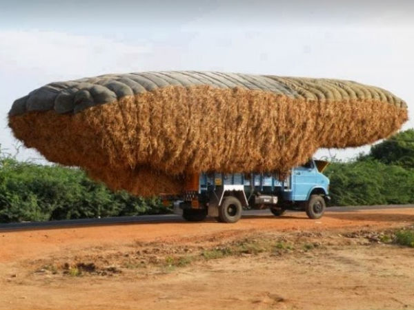 கின்னஸ் ரெகார்டு! கின்னஸ் ரெகார்டு!