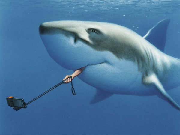 செல்ஃபி மோகம் : 