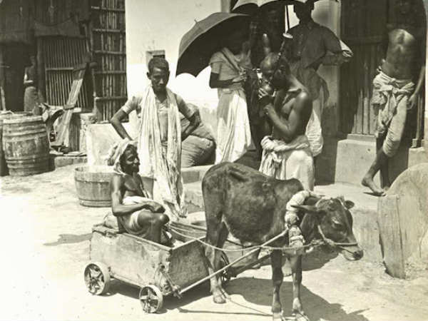 மாட்டு வண்டி : 