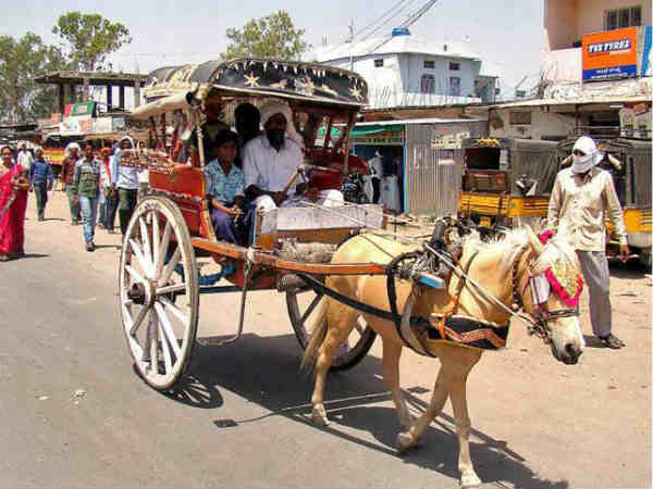 டன்கஹ் : 