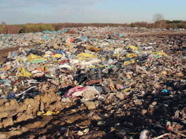 நிலத்திலும் : 