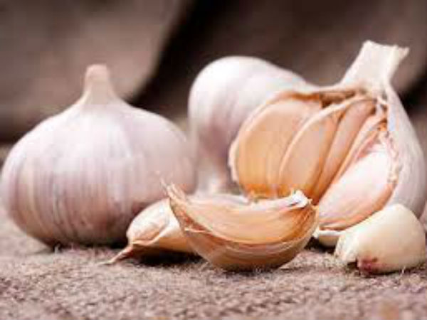 பூண்டு : 