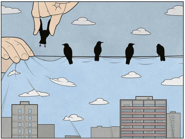 காக்கை : 