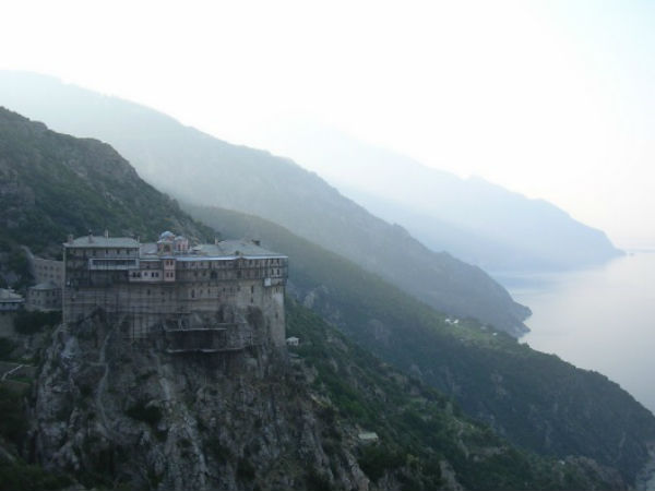 விலங்குகளும் கூட...