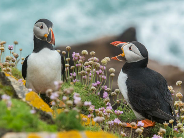 கூறிடுங்கள்!