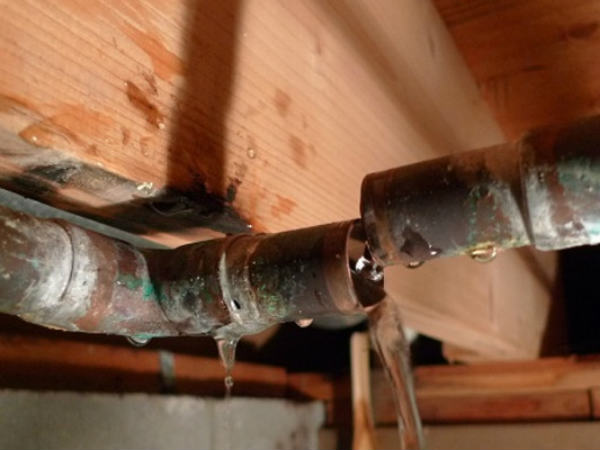 அதிர்ச்சித் தகவல்கள் : 