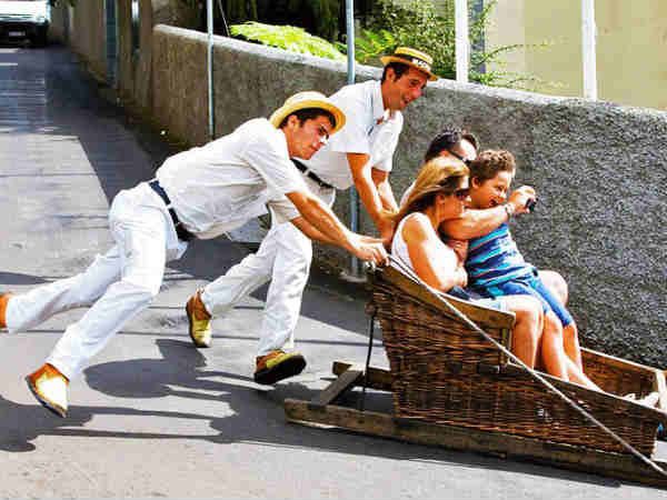 தள்ளு தள்ளு நல்லா தள்ளு : 