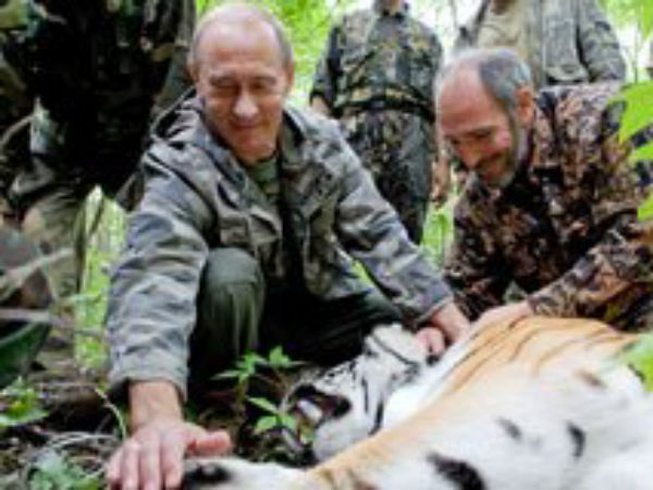 விலங்குகள்!