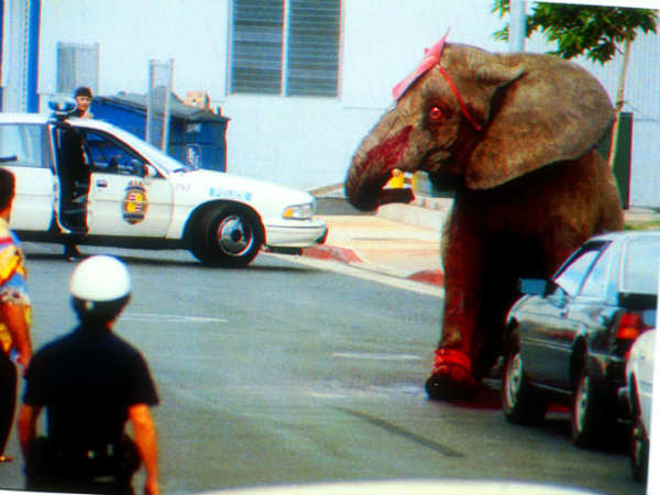 யார் டைக் ? : 