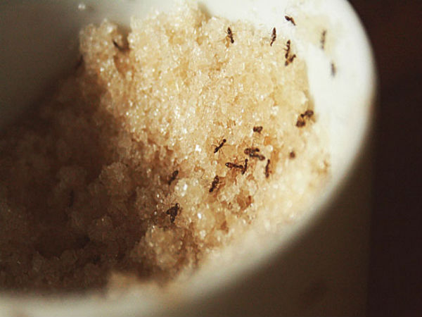 1. சுத்தமாக வைத்திருங்கள்