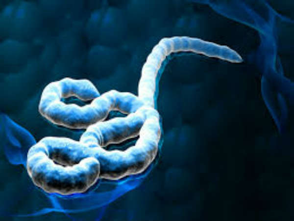 கிருமிகள் : 