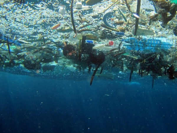 குப்பைகள் : 