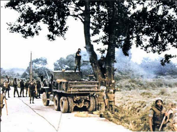 மரம் வெட்டத் தான் இத்தனையும் : 