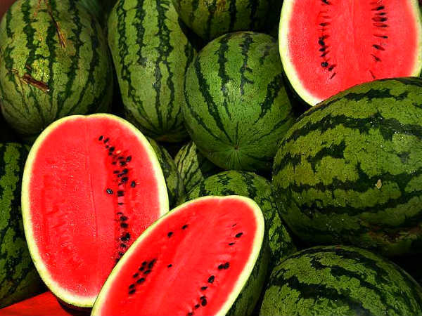 தர்பூசணி