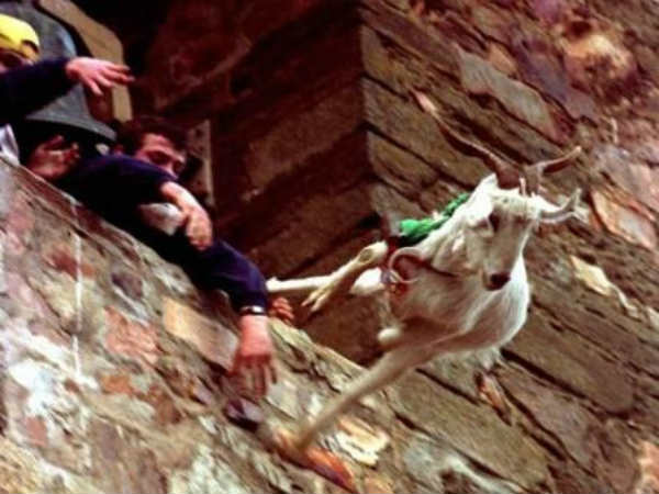 ஆடு பாவம் :