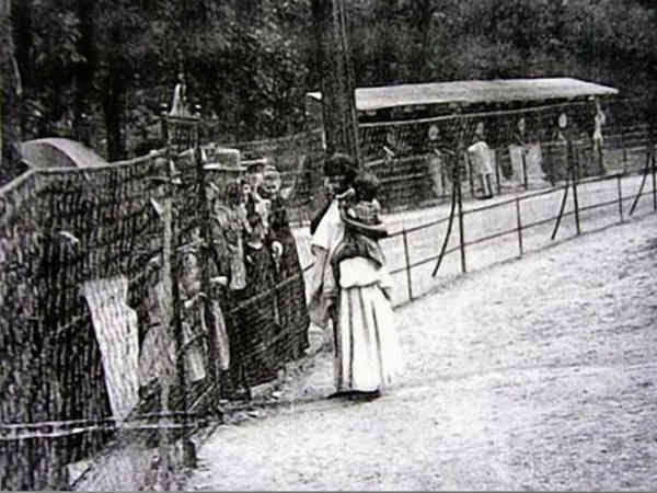 5000 மக்கள் : 