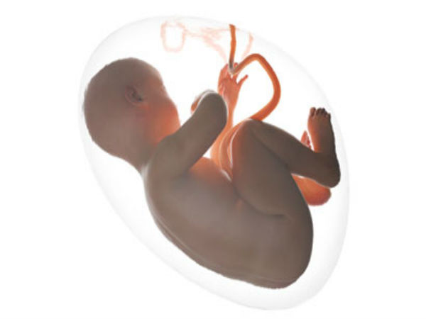 கருக்குழந்தை