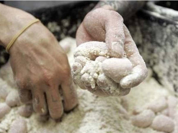  விதைப்பை : 