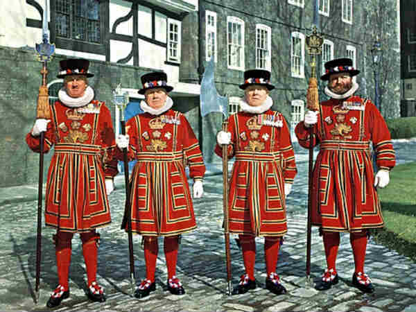 வார்டர் : 