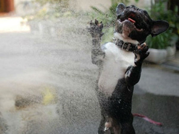 தட் ஆசம் மொமன்ட்! தட் ஆசம் மொமன்ட்!