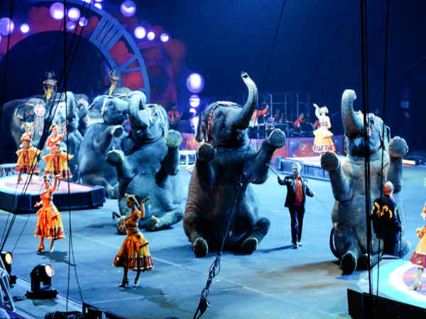 டார்ச்சர் : 