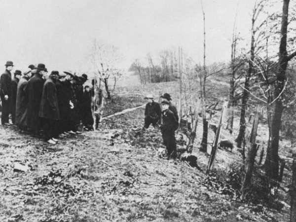 பன்றிகளுக்கு உணவு : 