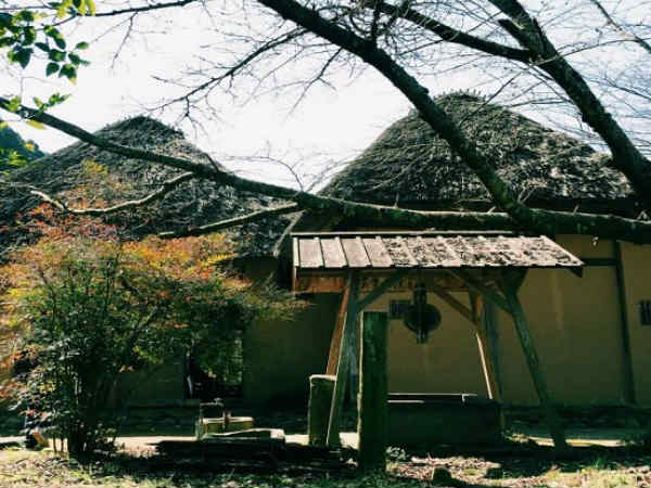 கதைகள் : 