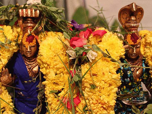 ராகு-கேது அம்சங்கள் 