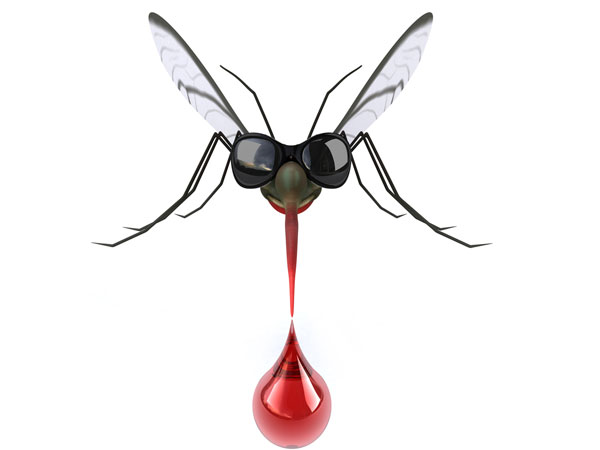 கொசுக்கடி