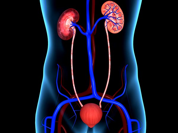  பார்ஸ்லி டீ குடிப்பதால் சிறுநீரகங்களில் ஏற்படும் அற்புதங்கள்!