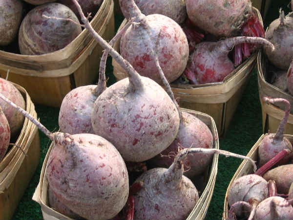 வளர்த்த நெப்போலியன் : 